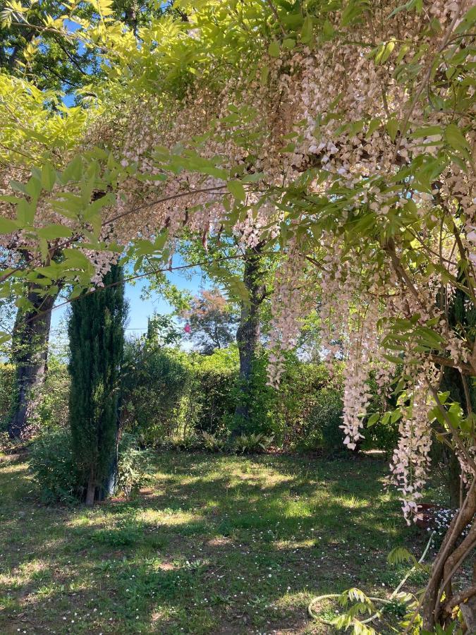 Tenuta Poggio Alla Farnia Fauglia Экстерьер фото